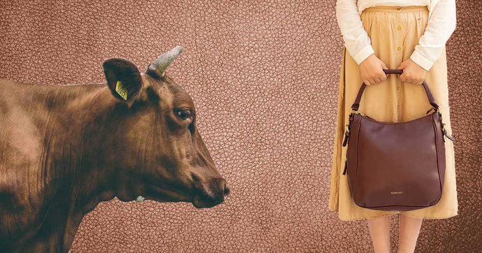 5 Reasons to Switch to Vegan Leather