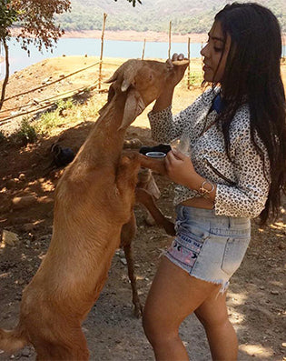 An Interview with Pooja Rathor - Animal Rights Activist